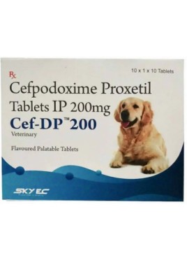 SKY EC CEF- DP 200 TABLETS